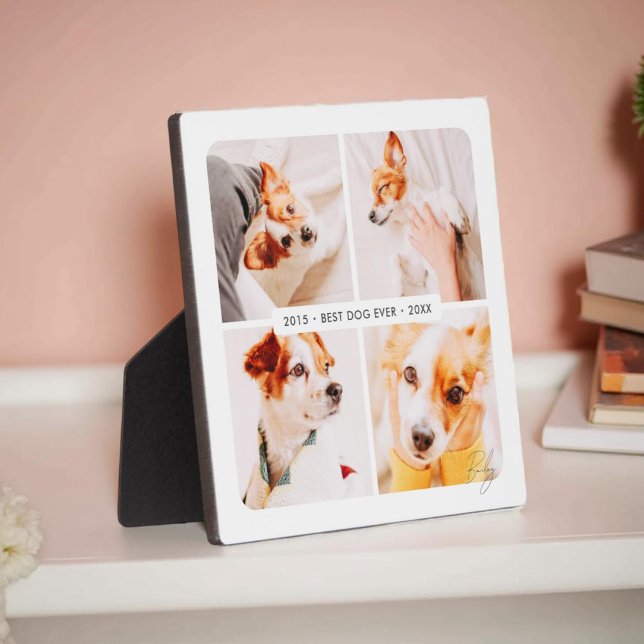 Memorial Bester Hund je Moderne Fotosammlung Fotoplatte (Von Creator hochgeladen)