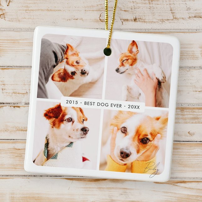Memorial Bester Hund je Moderne Fotosammlung Keramikornament (Von Creator hochgeladen)