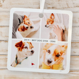 Memorial Bester Hund je Moderne Fotosammlung Ornament Aus Metall