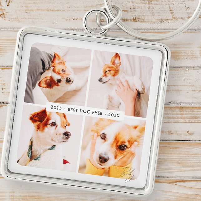 Memorial Bester Hund je Moderne Fotosammlung Schlüsselanhänger (Von Creator hochgeladen)