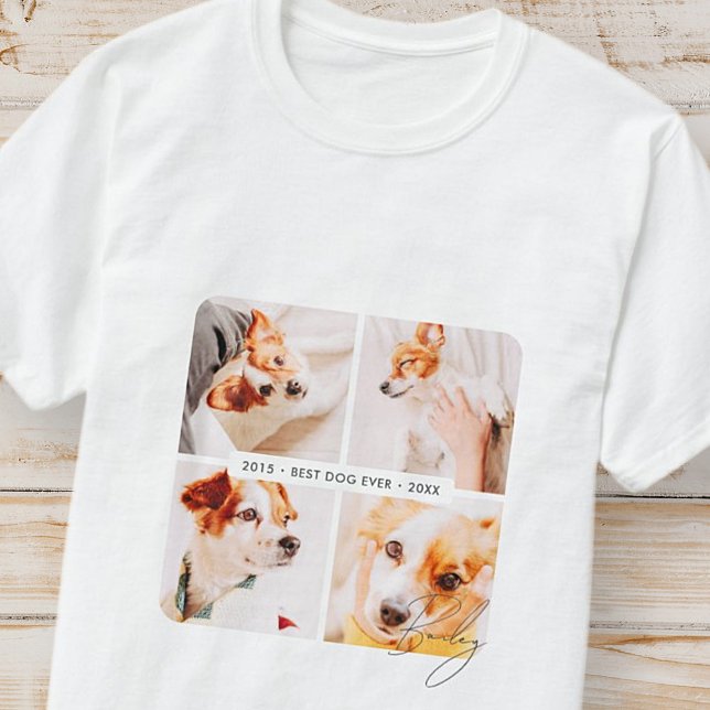 Memorial Bester Hund je Moderne Fotosammlung T-Shirt (Von Creator hochgeladen)