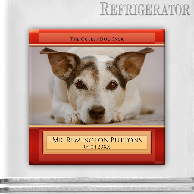 Memorial Custom Foto Magnet für Hunde oder Cat Kee (Memorial magnet featuring your pet photo on a modern red burgundy design)