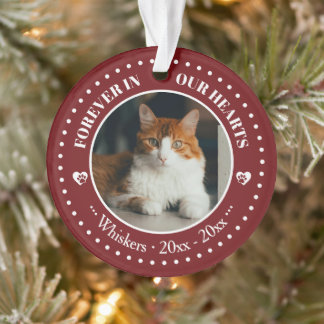Mémorial de photo et de nom de chat pour toujours 