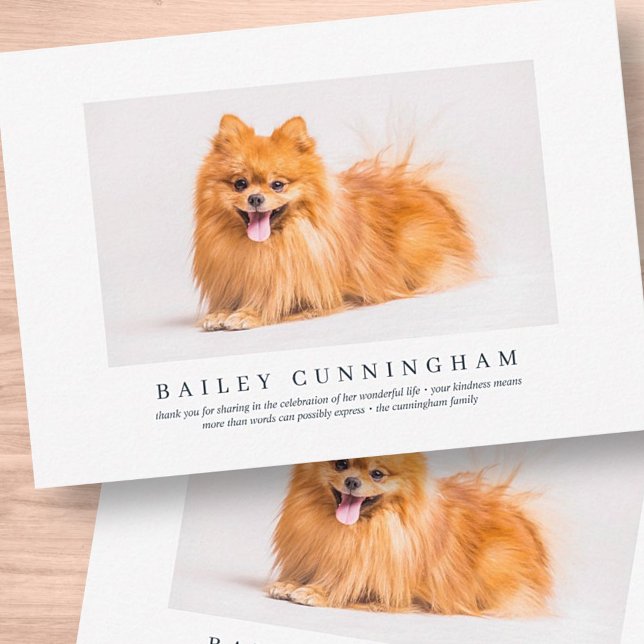 Memorial Funeral For Pet | Elegant Modern Photo Dankeskarte (Von Creator hochgeladen)