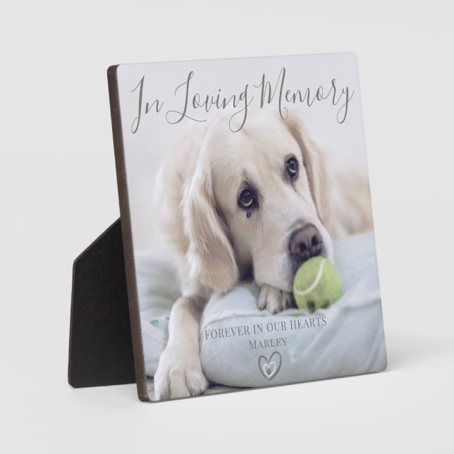 Memorial für Foto-Hunde Fotoplatte (Vorderseite)