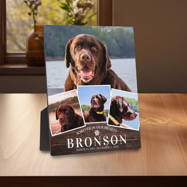 Memorial für Holzpets 4 Bildkollektion Fotoplatte (Von Creator hochgeladen)