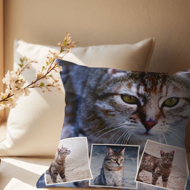 Memorial für Katzen 4 Bildkollektion und Kostenvor Kissen (Von Creator hochgeladen)