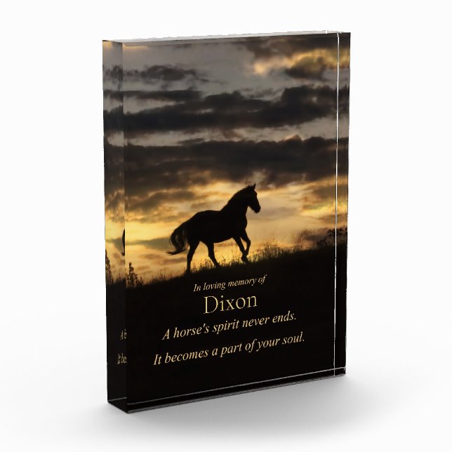 Memorial für Pferdegeist Fotoblock (Links)