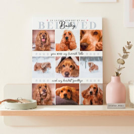 Memorial Halten Sie Custom Dog Cat Foto Collage fü Fotoplatte