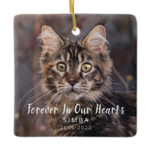 Memorial Personalisiert Cat Foto