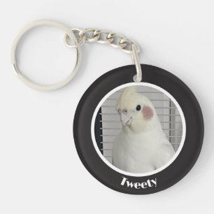 Mémorial personnalisé de cockatiel avec photo