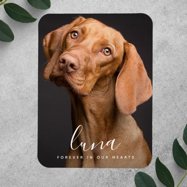 Memorial Tribute to Pet Sympathy Card Magnet (Pet Photo Memorial Magnet)