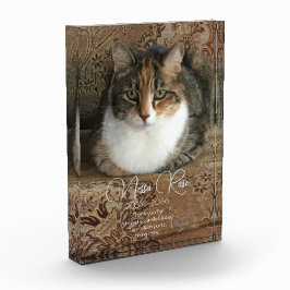 Memorial zum Cat-Foto Fotoblock