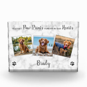 Memorial zum Verlust des Hundes Fotoblock