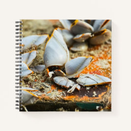 Memories of the shores of Thailand Notizbuch
