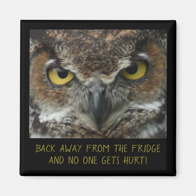 Menacing Owl Photo - MAGNET ALIMENTAIRE PARFAIT! (Devant)