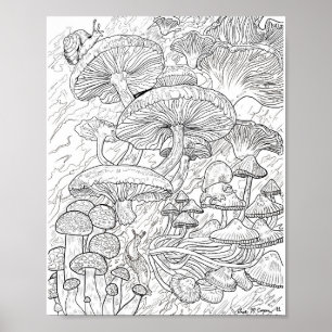 Menagerie der Pilzkolorierungspapiere Poster