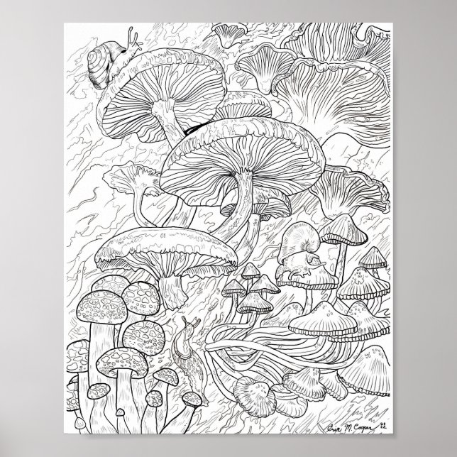 Menagerie der Pilzkolorierungspapiere Poster (Vorne)
