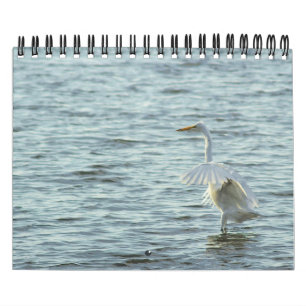 Menagerie Kalender