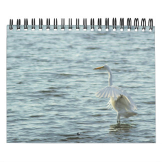 Menagerie Kalender