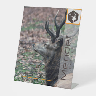 MENDEF SOCKELSCHILD