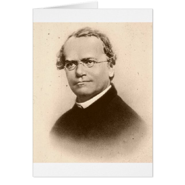 Mendel (Vorne)