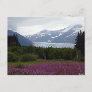 Mendenhall Postkarte