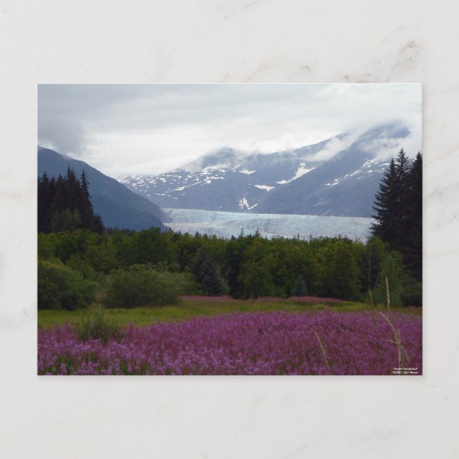 Mendenhall Postkarte (Vorderseite)
