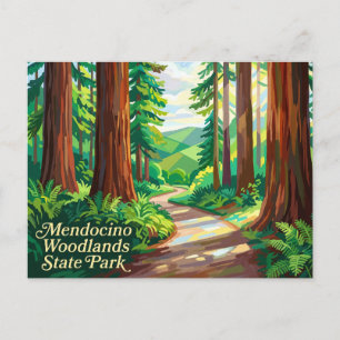Mendocino Woodlands State Park Kalifornien Postkarte