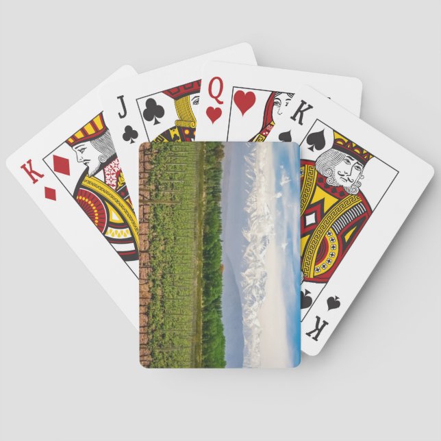 Mendoza, Argentinien Spielkarten (Rückseite)