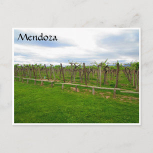 Mendoza Weinkellerei Postkarte