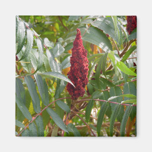 Menge der Blume Magnet