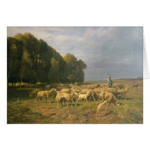 Menge der Schafe in einer Landschaft