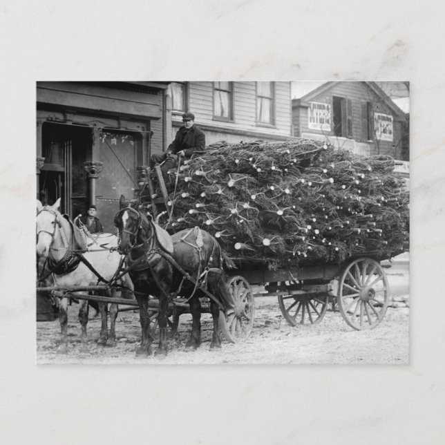 Menge der Weihnachtsbaumen, 1910 Feiertagspostkarte (Vorderseite)