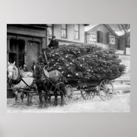 Menge der Weihnachtsbaumen, 1910