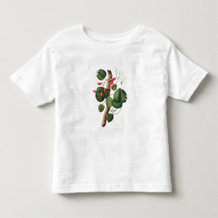 Menispermum von "Phytographie Medicale" durch Kleinkind T-shirt