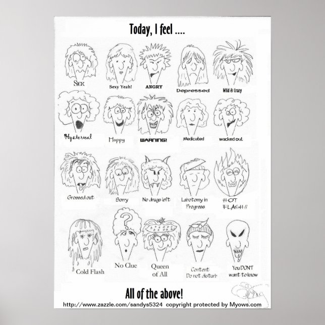 Menopause Moods Poster (Vorne)