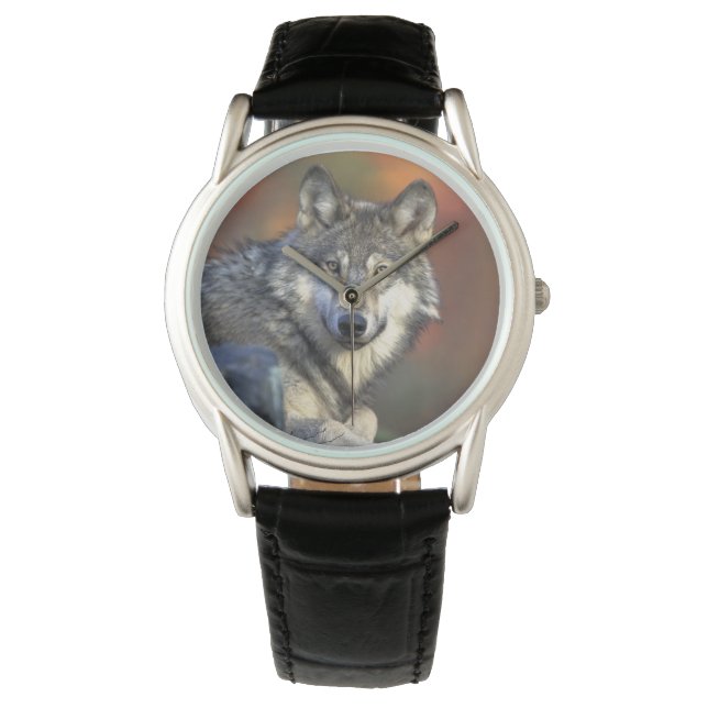 Mens Classic Watch/Wildlife Wolf Armbanduhr (Vorderseite)