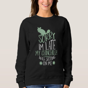 Mens im spate mein Chinchilla saß auf meinem Haust Sweatshirt