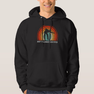 Mens Retro Style Vintag Best Billiards Vater Ever  Hoodie