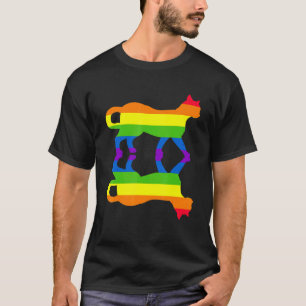 Menschenrechte Tier Katze Lgbtq Gay Pride Regenbog T-Shirt