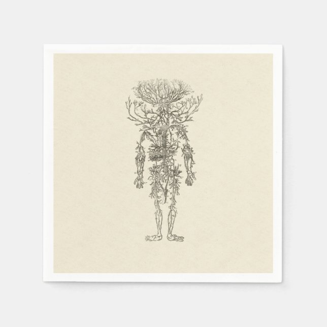 Menschliche Anatomie Die Arterien Antike Illustrat Serviette (Vorderseite)