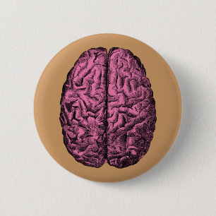 Menschliche Anatomie Gehirn Button