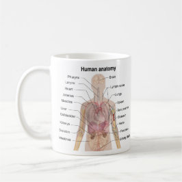 Menschliche Anatomie Kaffeetasse
