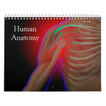 Menschliche Anatomie