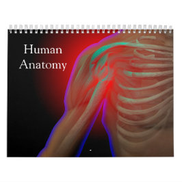 Menschliche Anatomie Kalender