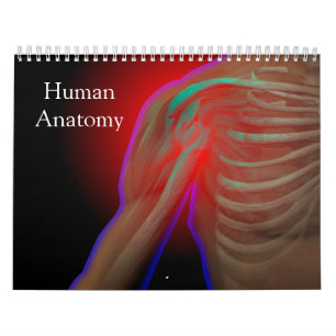 Menschliche Anatomie Kalender