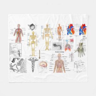 Menschliche Anatomie-medizinische Diagramme voll Fleecedecke