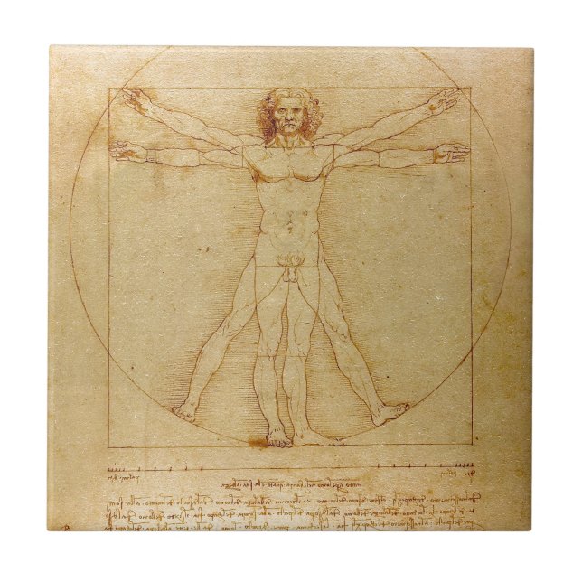 Menschliche Anatomie, Vitruvian Mann durch Fliese (Vorderseite)