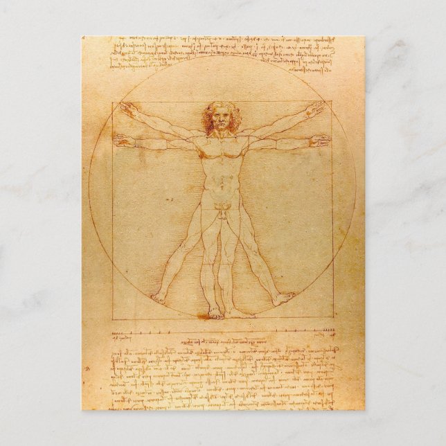 Menschliche Anatomie, Vitruvian Mann durch Postkarte (Vorderseite)